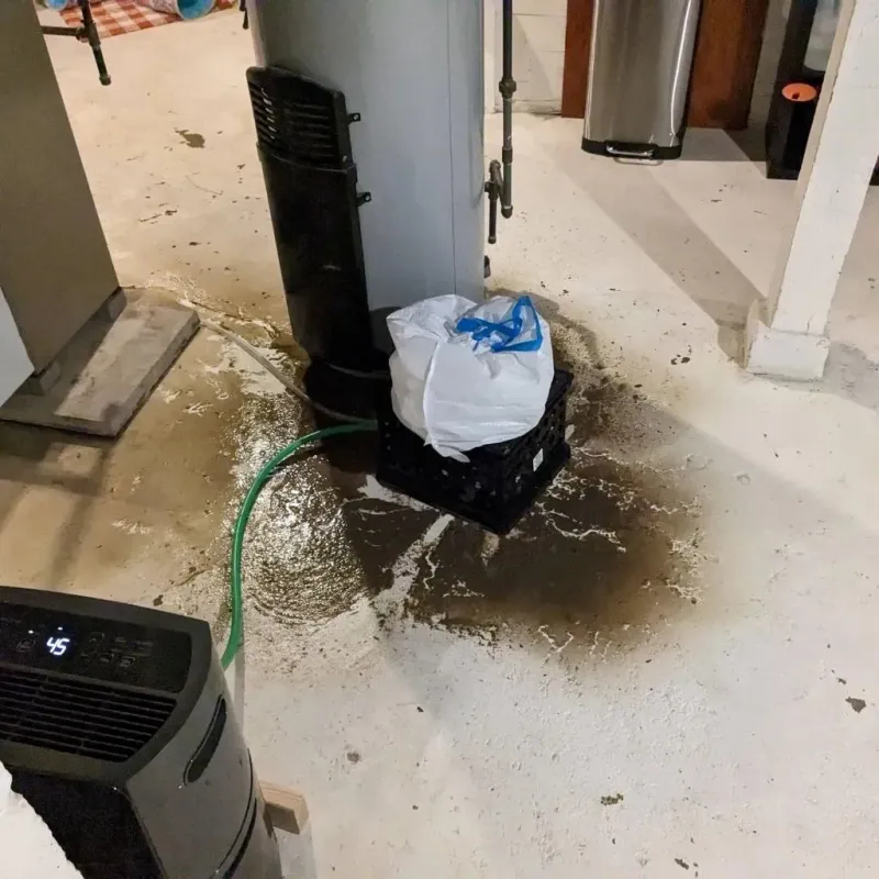 Sewage Backup Cleanup Service in Loving County, TX